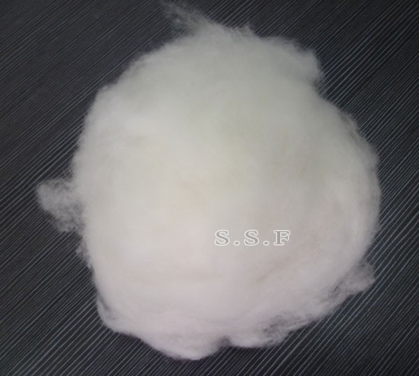 Tibet Cashmere Fibre raw white 15.5mic with 36mm length