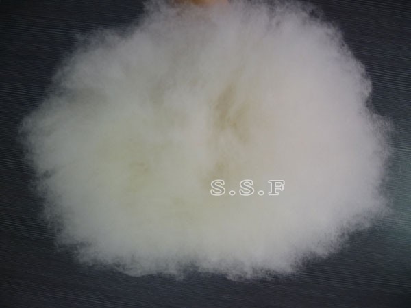 Mongolia ivory cashmere fibre