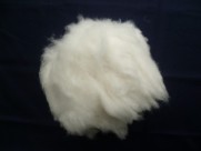 Angora Fibre White, Angora Fibre White