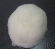 <translate>15.5-15.8mic/34mm cashmere fibre white