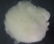 cashmere fibre white